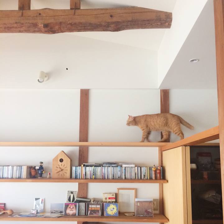 E483681a 6e51 4764 b413 09a7d8434a33