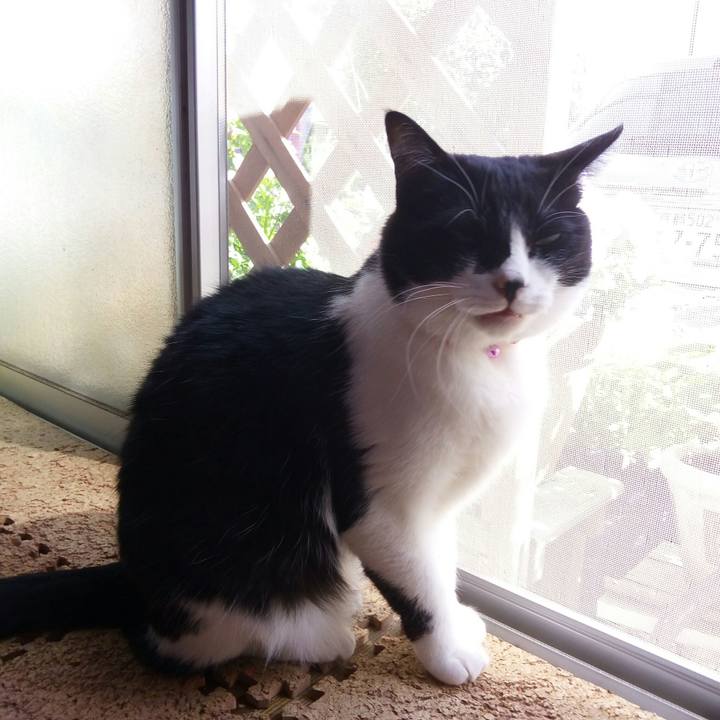 E4836ac8 0769 4bfc 9f1a 1b3aed2ce06f