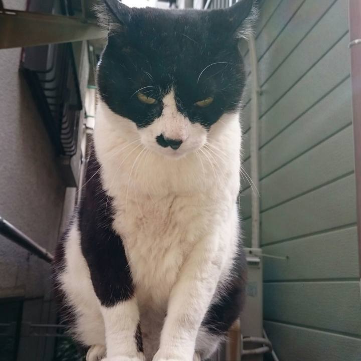 E483fbc8 0a74 428b 9bf4 1a3b346bca52