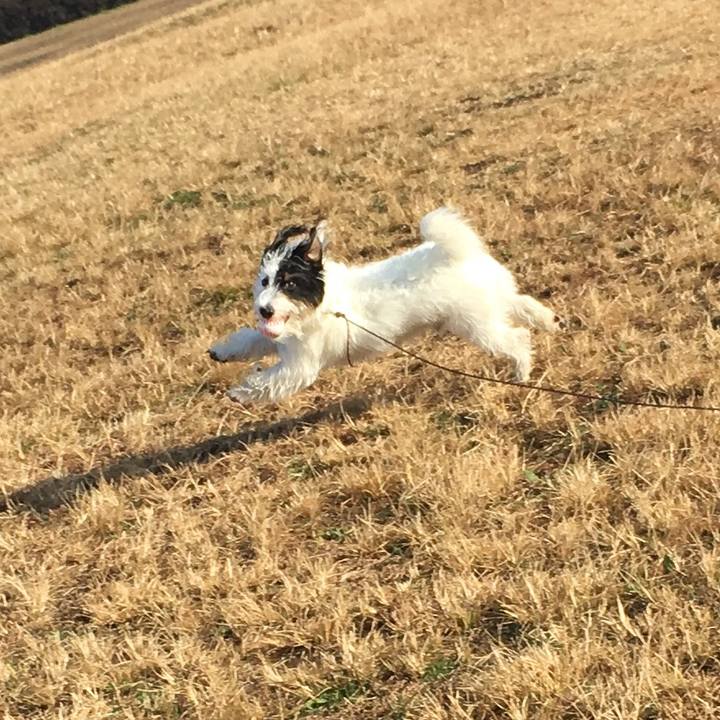 E48425f2 ccfa 402a be2c 9103bde03654