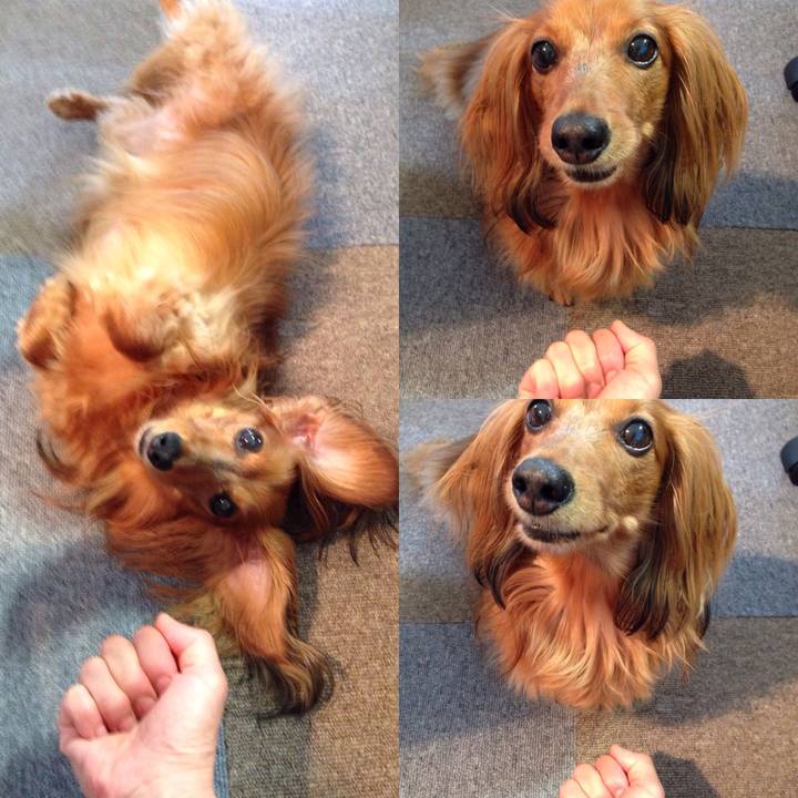 E4857c56 642c 4800 be52 c85d8eae5181