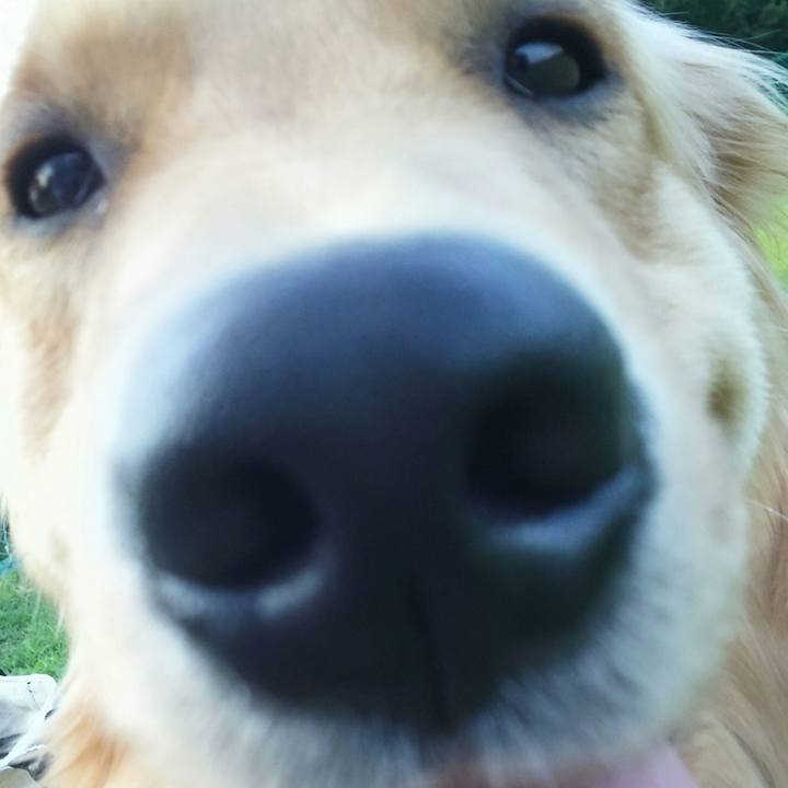 E485a587 f116 4739 8495 5e8b9c248886