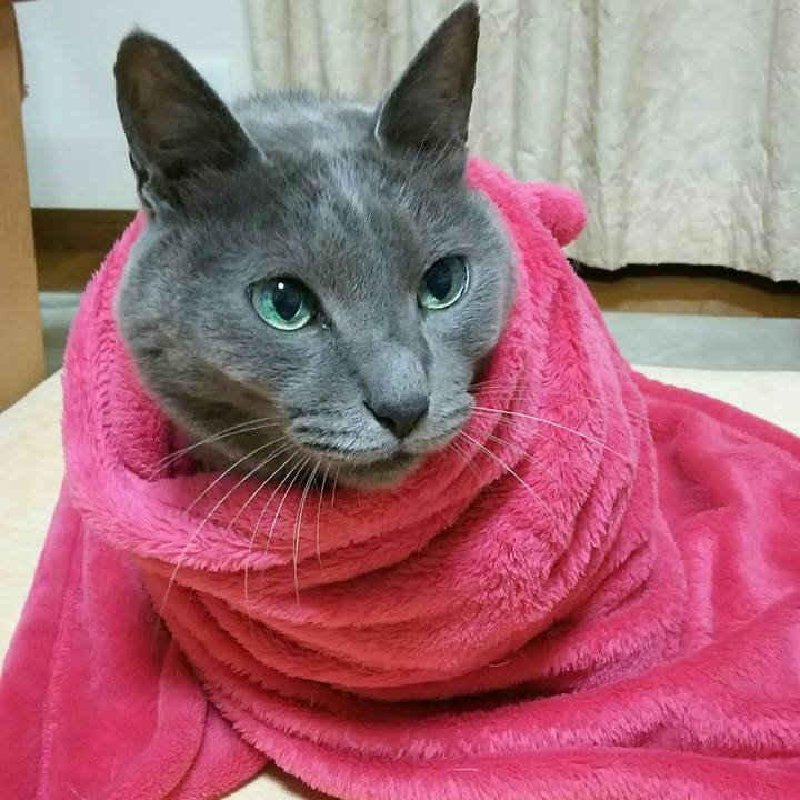 E485b402 8e4f 40ff b14d b3f5c8a9c2e1