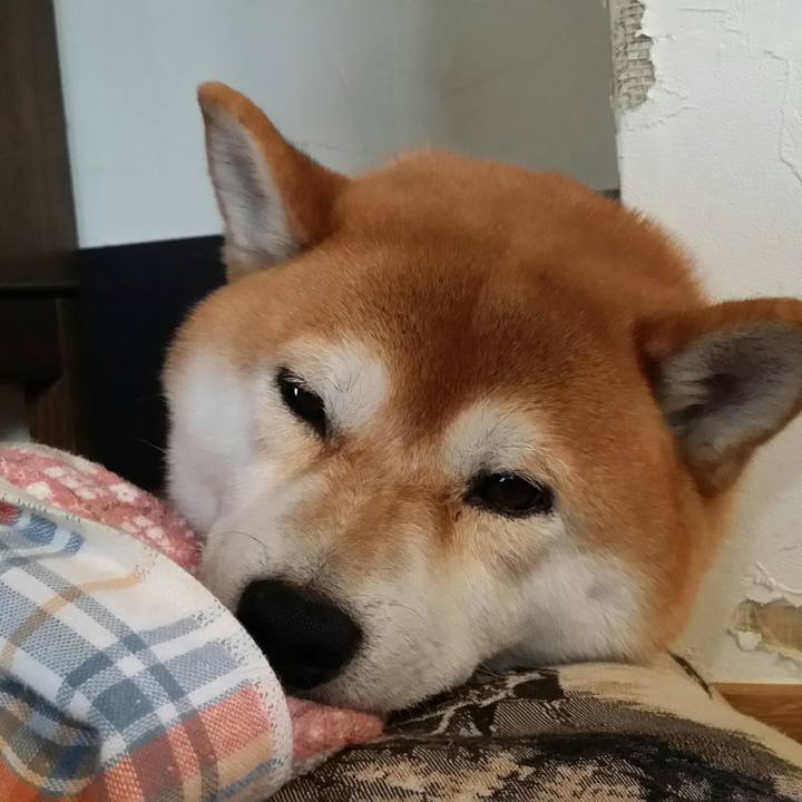 E485cb3c aa90 4020 837d eec3630d3f7f