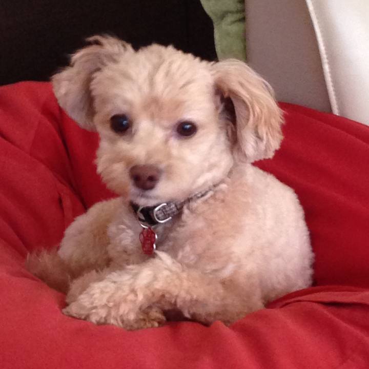 E485f0e8 c5bd 4f23 a53c 0d16402aec26