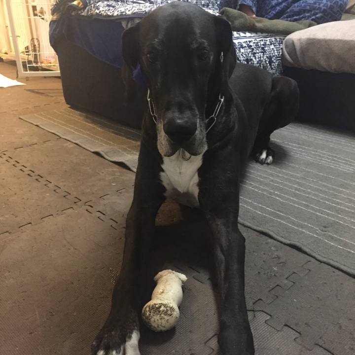 E4862cda bfb2 4485 87d9 187f0d64311b