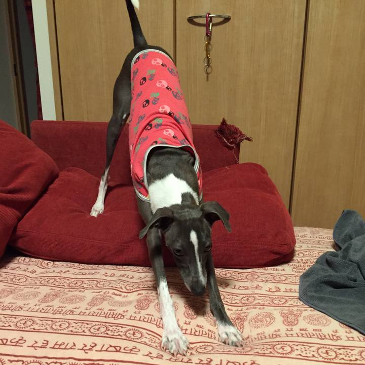 E4867b20 8260 4ab5 b034 ed8252e6cc49