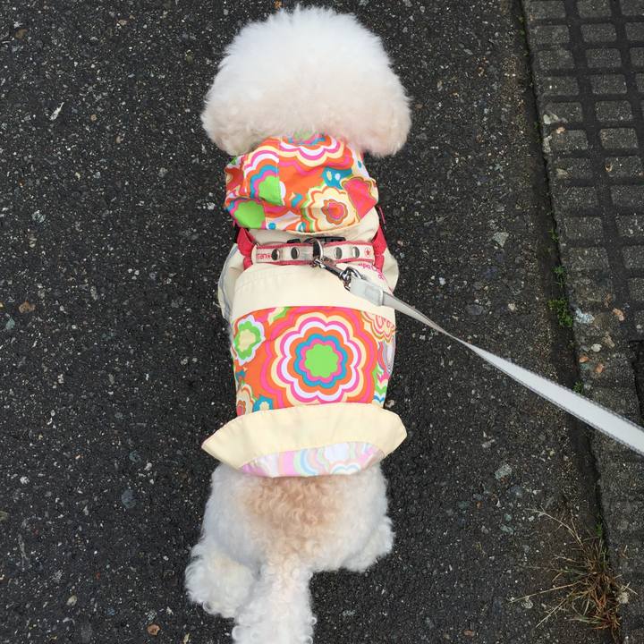 E487b052 1c66 4789 8b2b ed8a7453a1d7