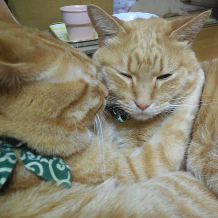 E487d3e6 0d24 4d13 b813 8f32a678938e