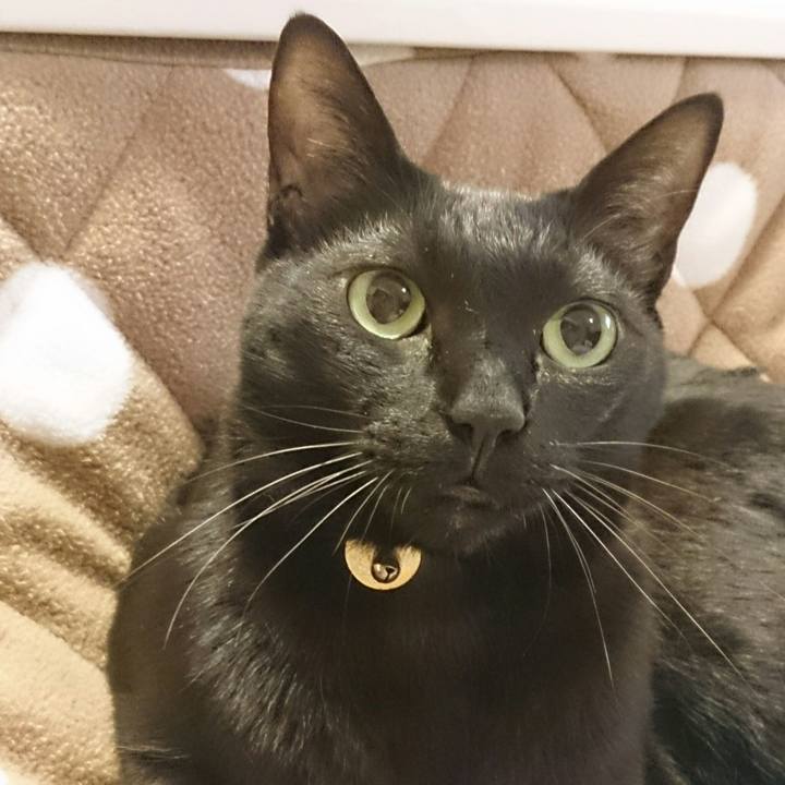 E4885945 4499 4f71 a33c 6464d17ff372