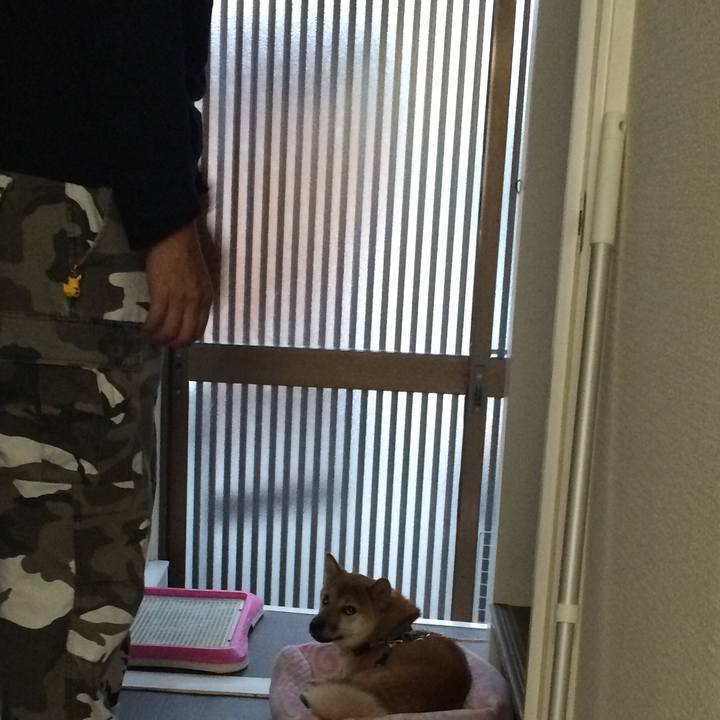 E4894fde 3baa 40d6 b2e3 d4bc750d7846