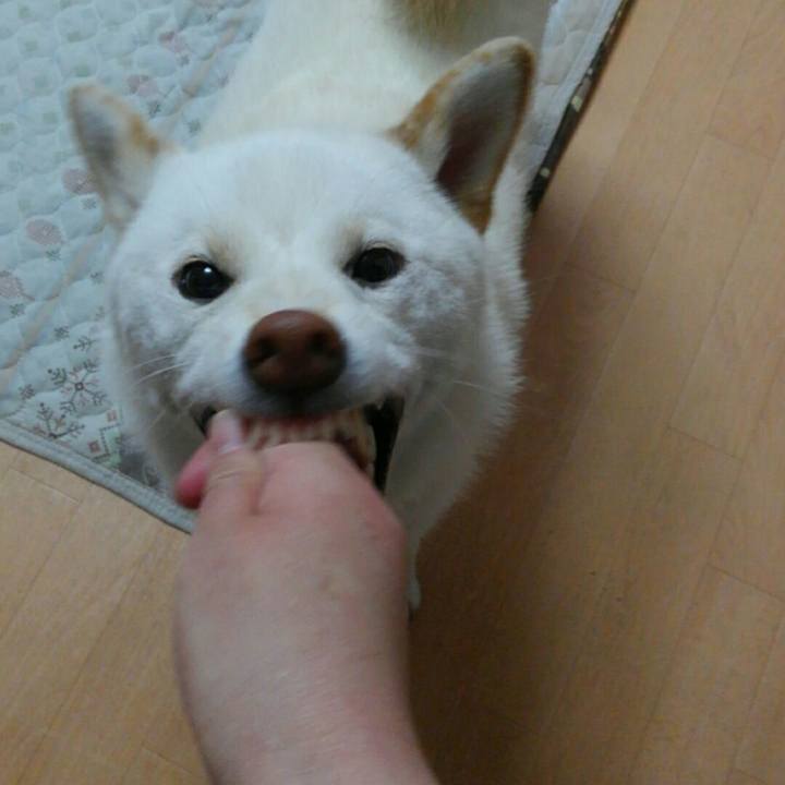 E4897fba c536 459e 88ed 6bdc60b873d4