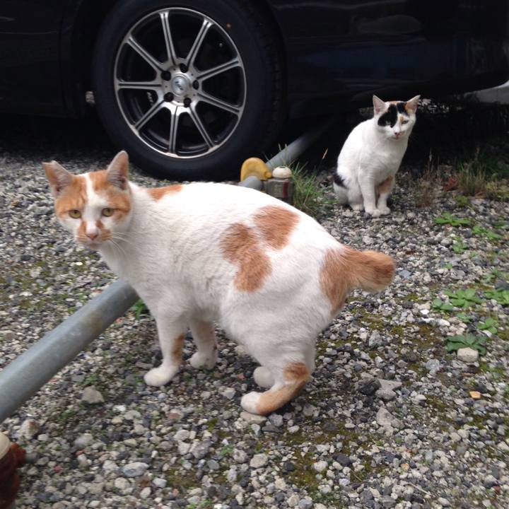 E48a9d6d 854d 4fb6 821d b99a5916a63d