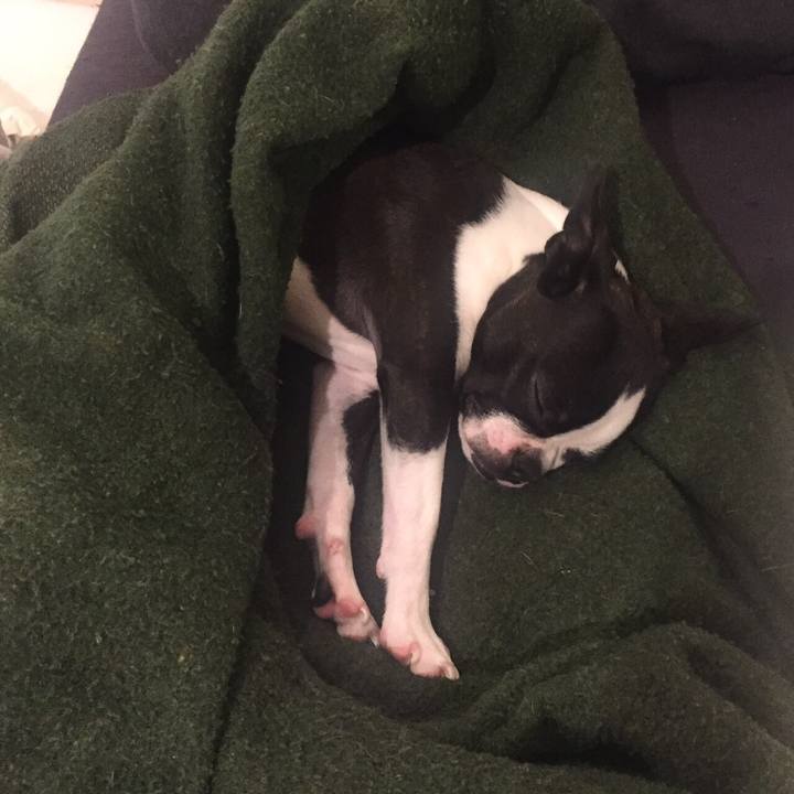 E48b6944 d5b2 443a ada7 a3aca9c52494