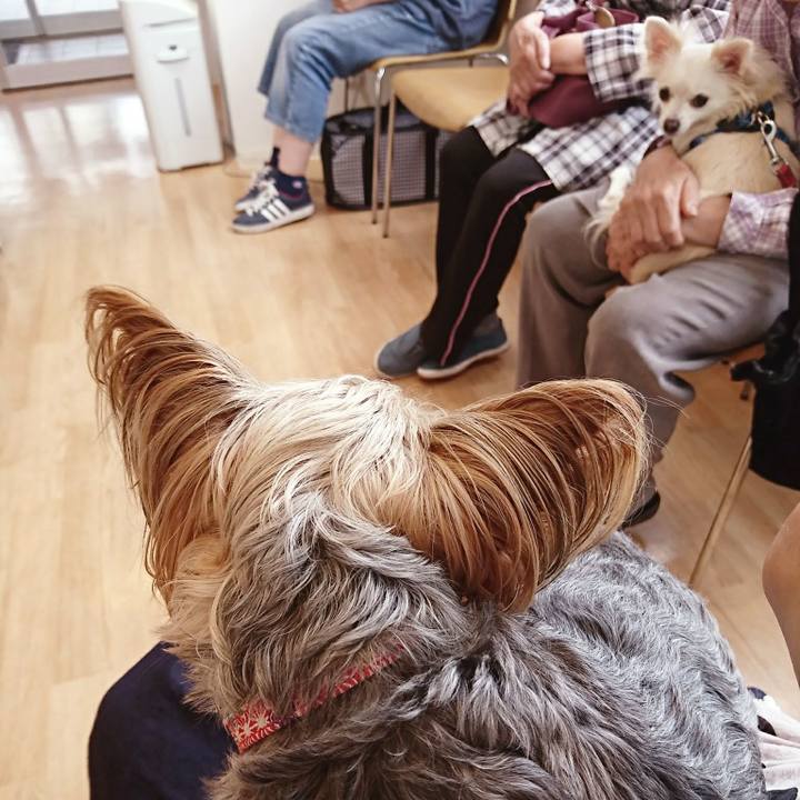 E48cc3fb 63a6 4c5d b21e e716425522bd