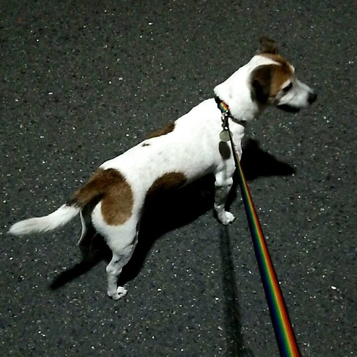 E48cff7c f670 4e3f 8da1 5740c0c9ba4b