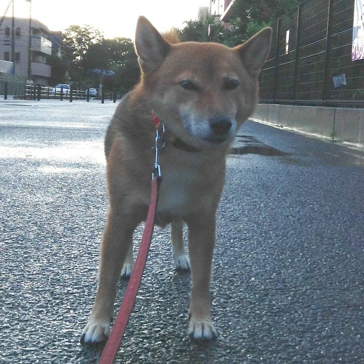 E48dc6bd c5ee 42a9 bf48 284f1fe5ad52