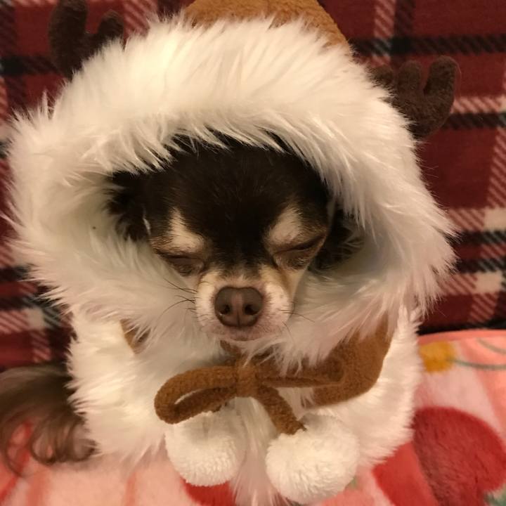 E48e36b7 ad80 4fda a9fb adca4b868a18