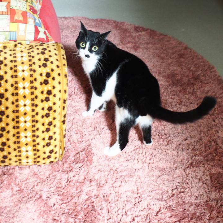 E48e3993 e3cd 4f38 91e5 606bb2a5b94c