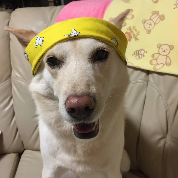 E48ea3cf 91b2 45da 9b69 1371076e7d7c