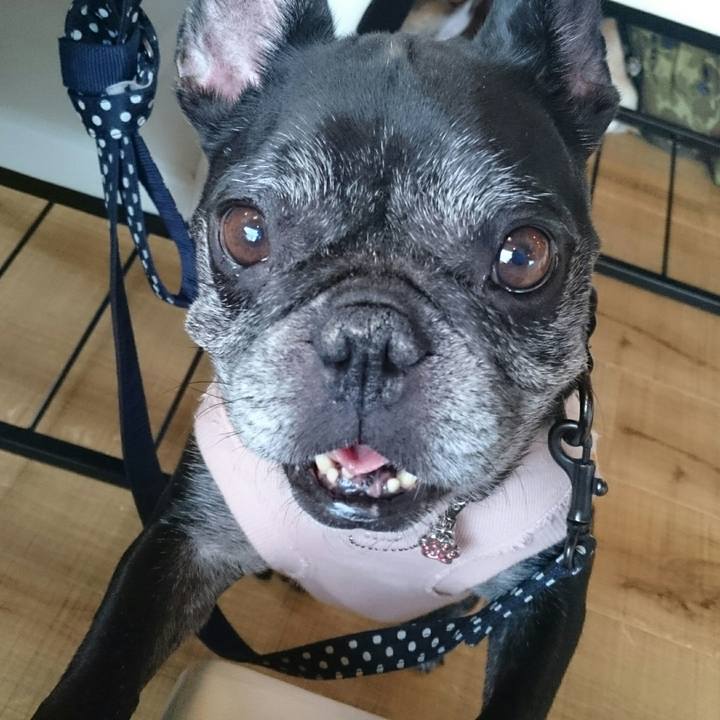 E48f7d25 d7cb 4453 87e9 a614b1b63f9e