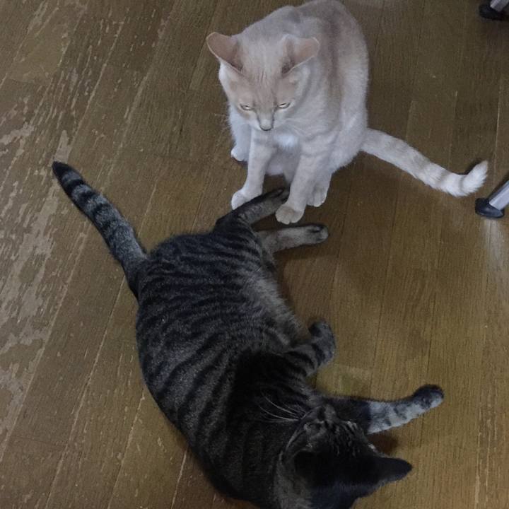 E48f7d58 ec95 44c4 8cc7 0428265b5beb