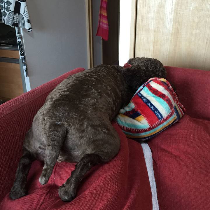 E48f9ad1 4a69 4feb 89be 4d6bab05495a