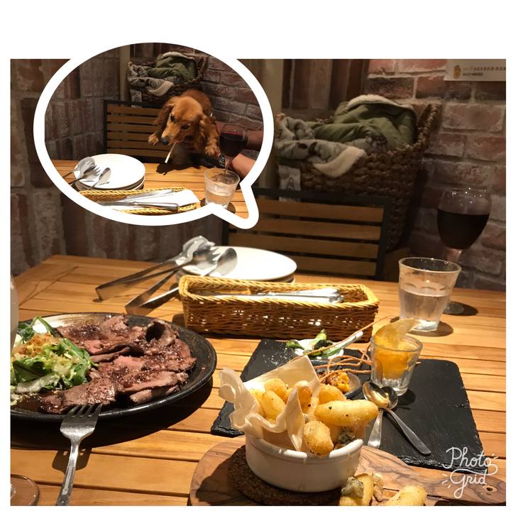 E48fd66d 464f 41d1 84c7 22d200c1aae0