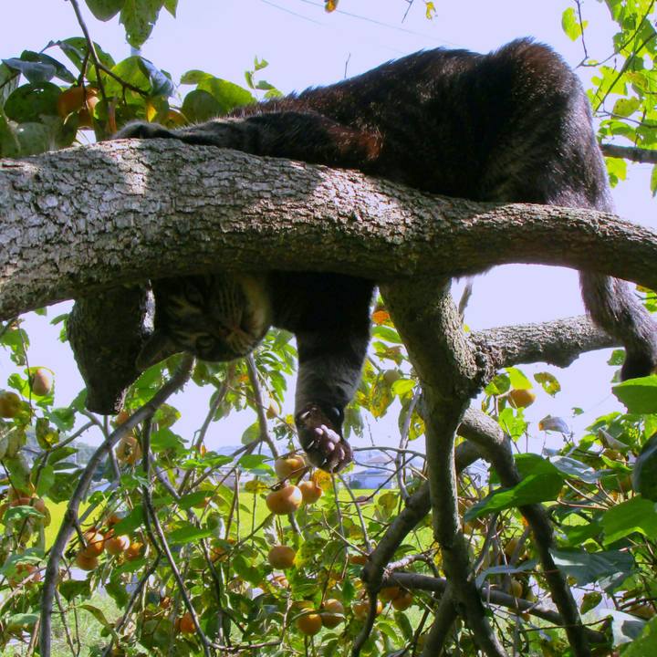 E4901078 64c6 4ebd 9cf1 b10f7ef64f27