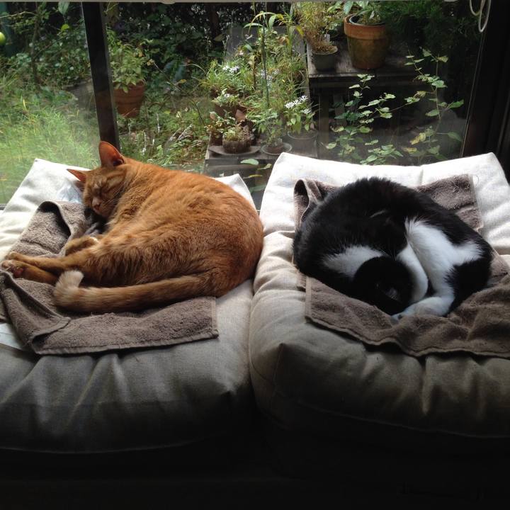 E4901df4 b1ec 4b37 a458 e1b59fa9f2cc