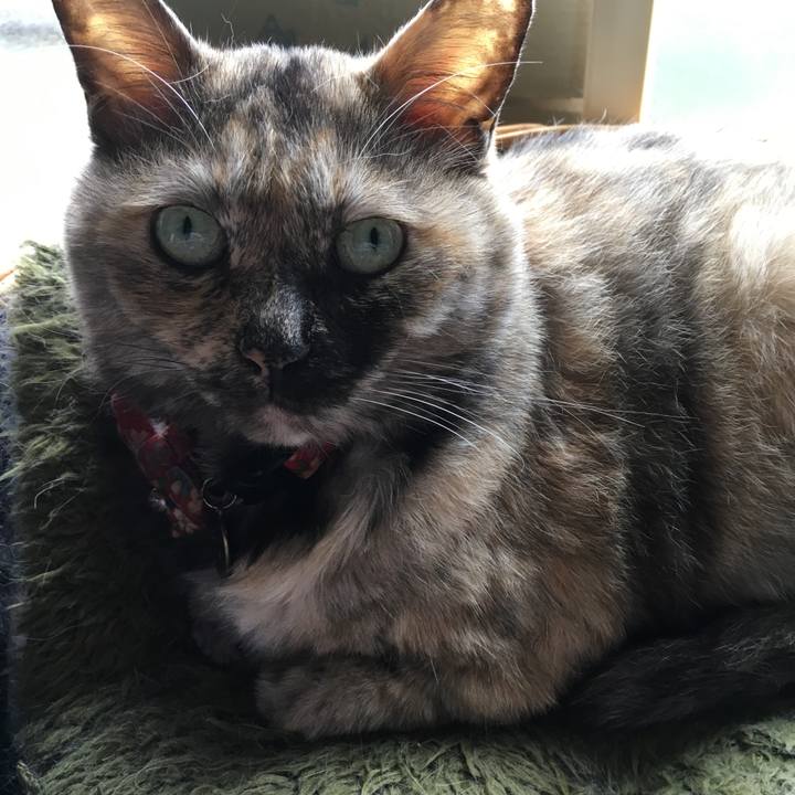 E4906044 026e 45af 8c4c 952666765eab