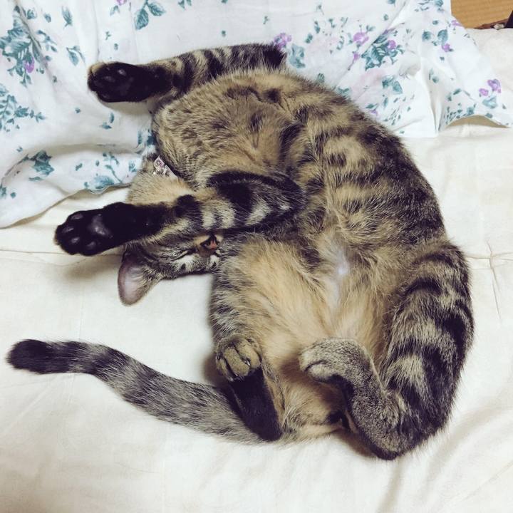 E490858d c29b 4264 a93b fea40afc437c