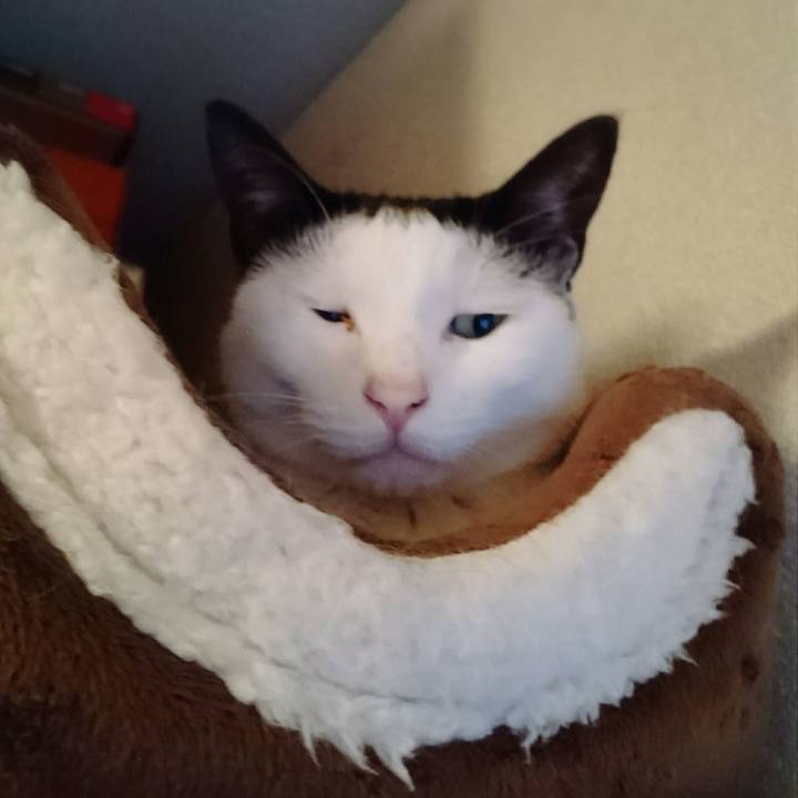 E4909e91 8be2 4e9a b48b f77d37b5ff3a