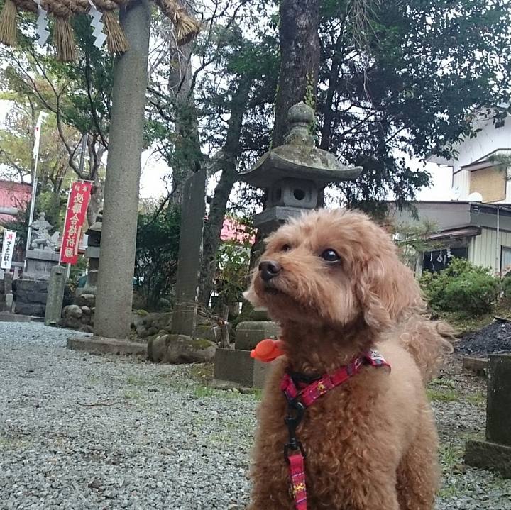 E490d574 46be 4f32 89d4 2a843ea0240c