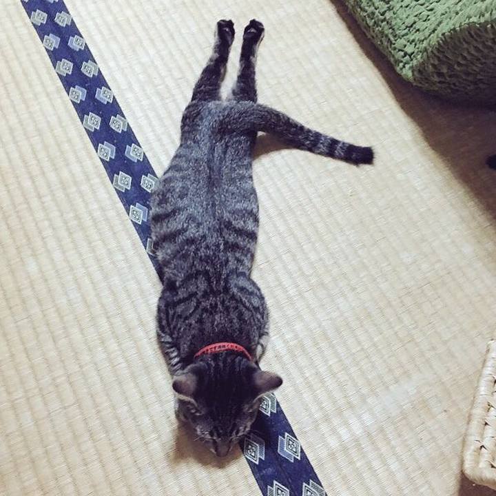 E490f9bc 6664 4dcd 9c0d 294820b5191f