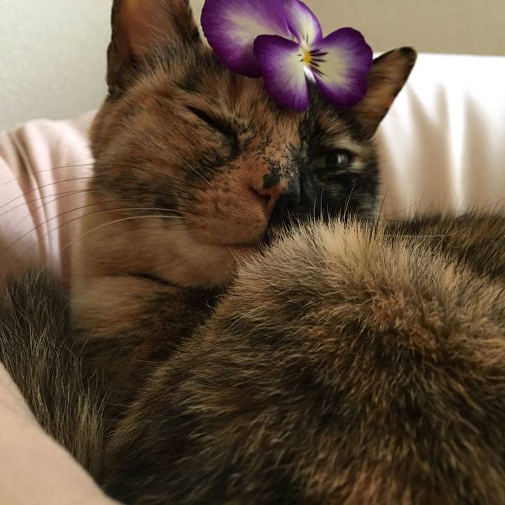 E4913195 c74d 4c06 8d16 fce04f539ef3