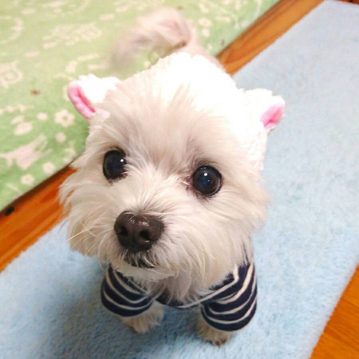 E49189b0 9d84 457d 9f86 c762e8220779