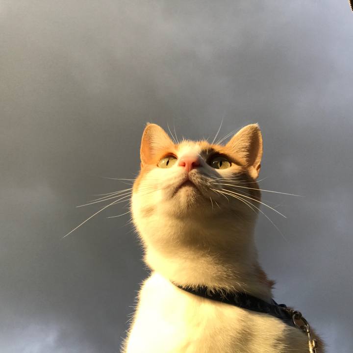 E491d8a0 d6b7 4580 a573 a05273c6cb97