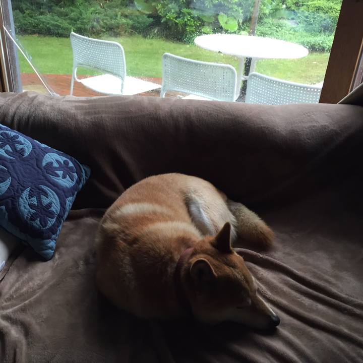 E4922991 80d0 4fb8 a735 3f8e95a7539b