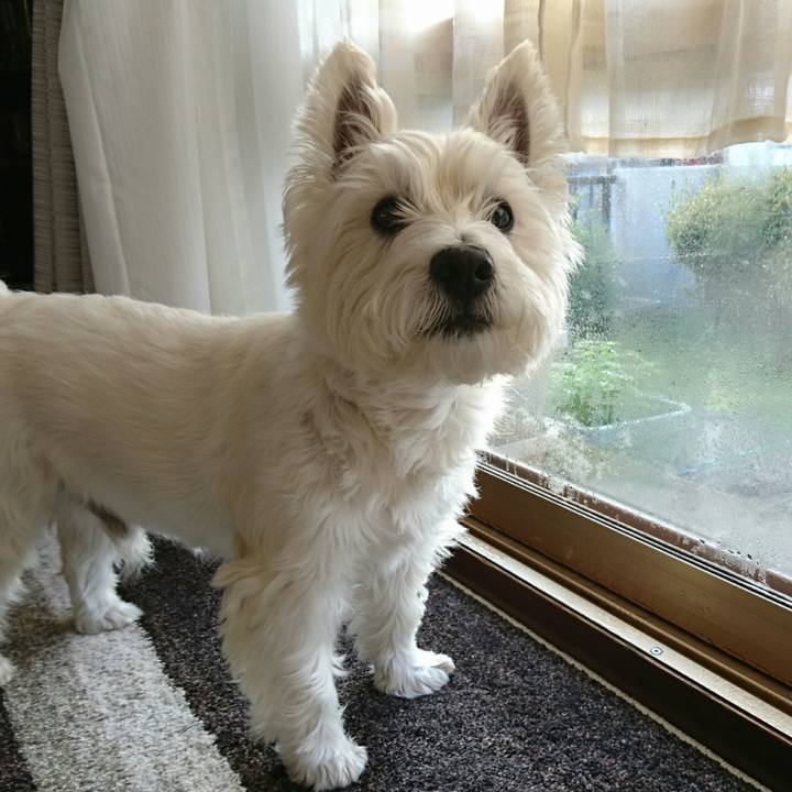 E492b216 018a 4dd4 9cfc e97b8fc7e1ca