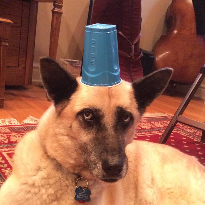 E492e14d 1635 4a17 a1aa 02dca6a8be88