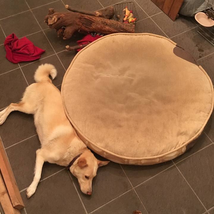 E4936a9f 4a7f 49b7 93d3 02a5130777d7