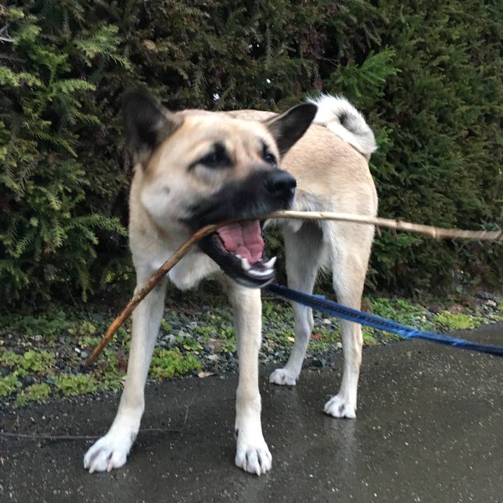 E4946e4d 3e50 46d5 87c4 b18ea092a9de