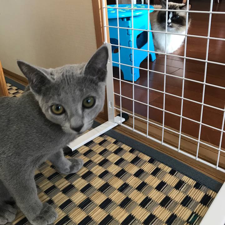 E494c055 cc79 4c51 9137 b8daa02e7092