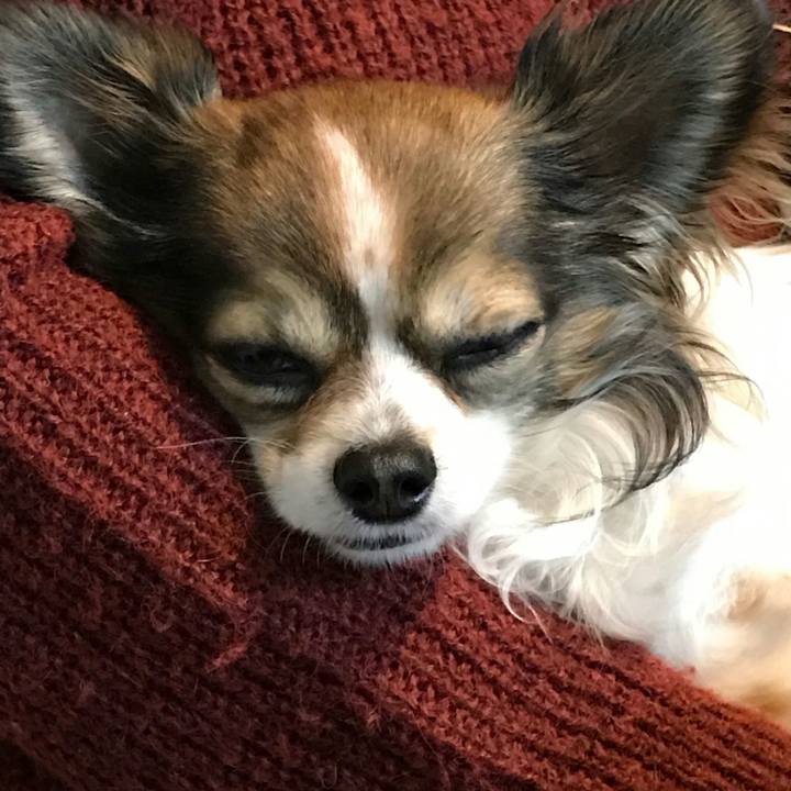 E495315d 5f1e 43c7 a437 910d225109df