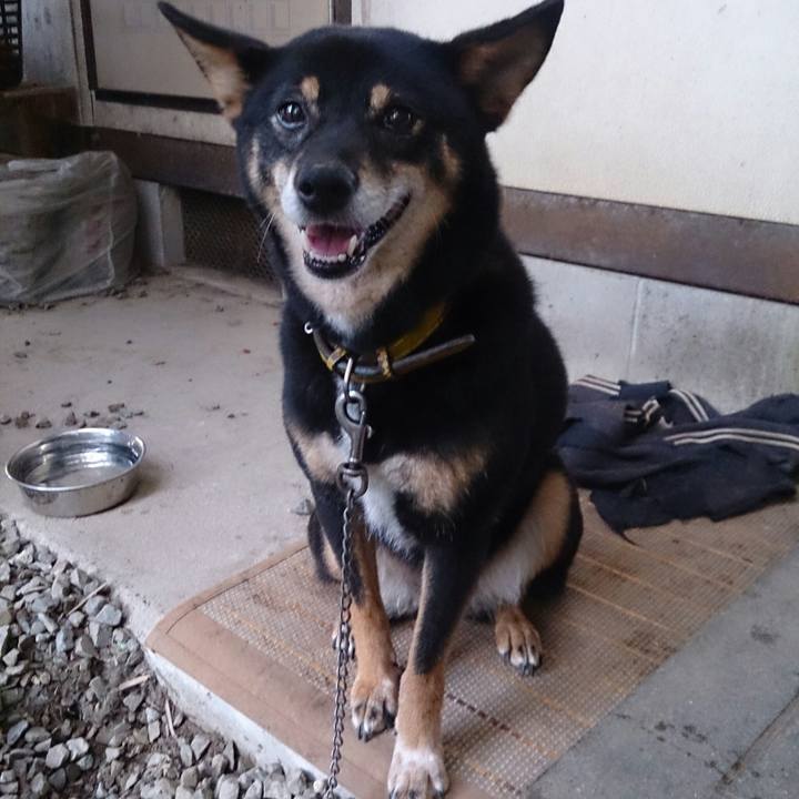 E4953bab ef81 4289 b1f2 f04860ba406e