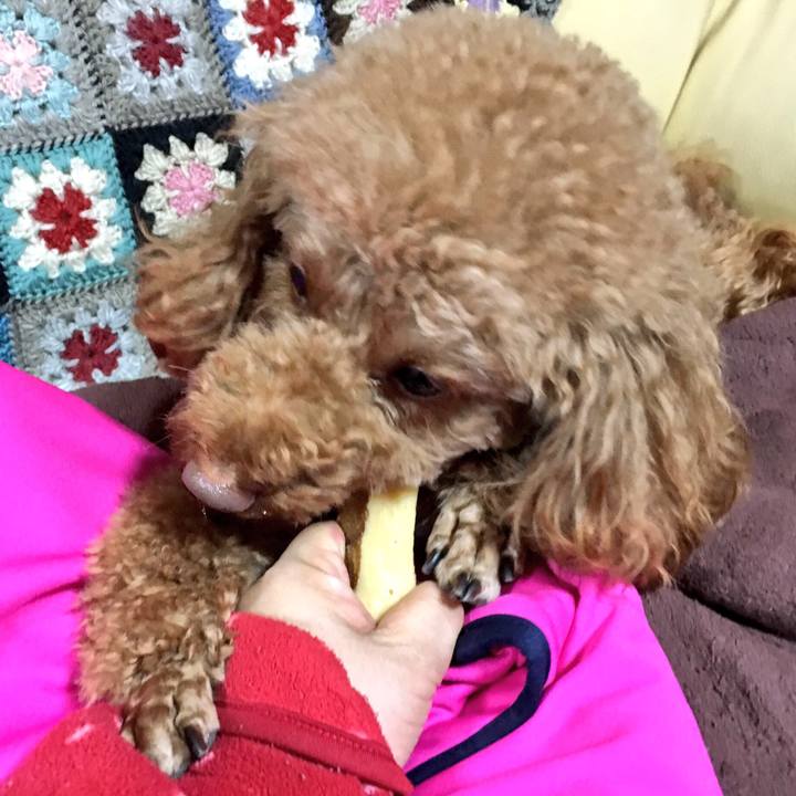 E4957db3 dcac 4ddf b667 db526dfc25a9