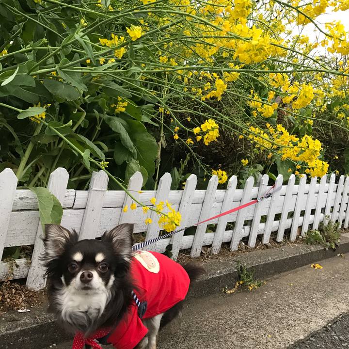 E495af9e 6e28 48a4 89ea f68dce00caf2