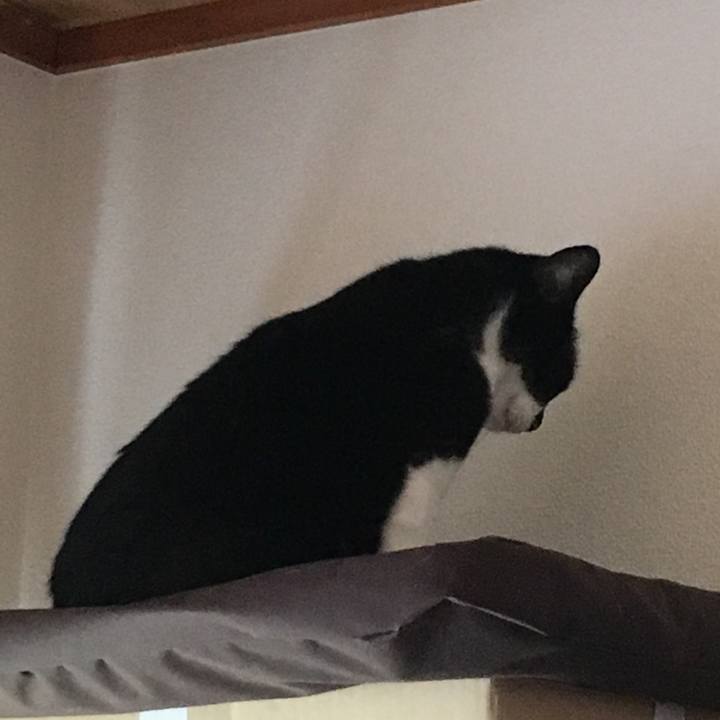 E495bfc7 4b3c 4361 85b4 64ad588dffcf