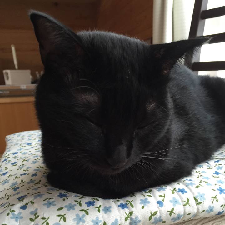 E4966adf 601f 40c4 b95b df35b0aee2e1